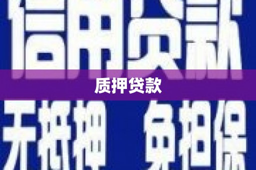 陆川质押贷款