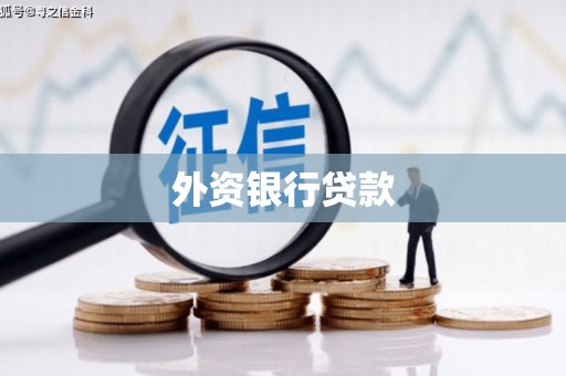 陆川外资银行贷款