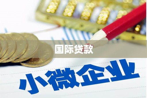 陆川国际贷款