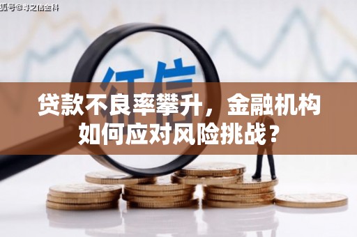 陆川贷款不良率攀升，金融机构如何应对风险挑战？