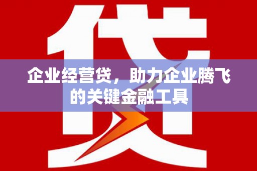 陆川企业经营贷，助力企业腾飞的关键金融工具