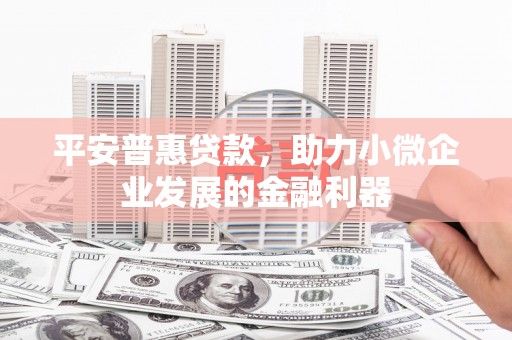陆川平安普惠贷款，助力小微企业发展的金融利器