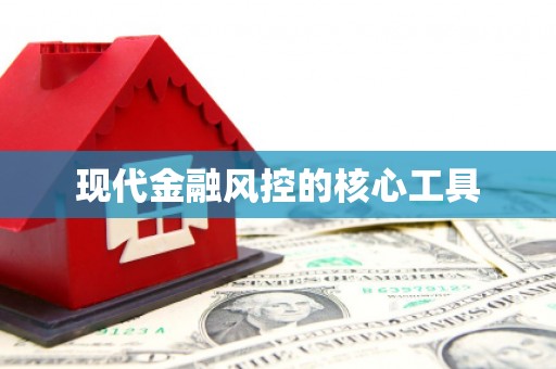 陆川现代金融风控的核心工具