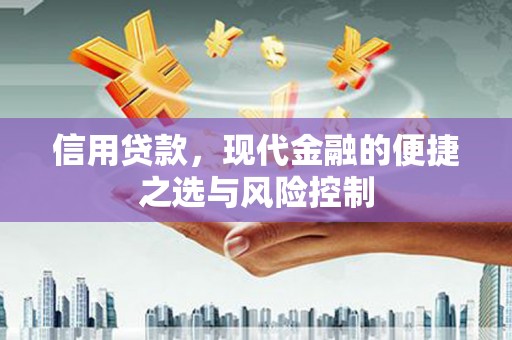 陆川信用贷款，现代金融的便捷之选与风险控制