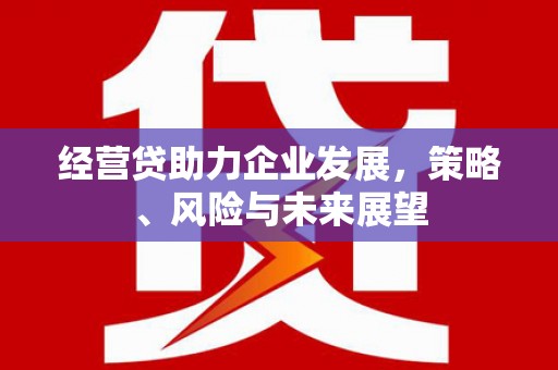 陆川经营贷助力企业发展，策略、风险与未来展望