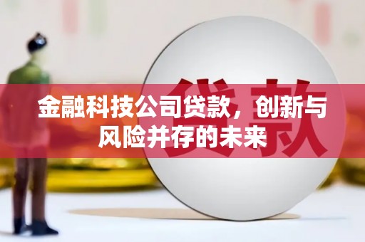 陆川金融科技公司贷款，创新与风险并存的未来