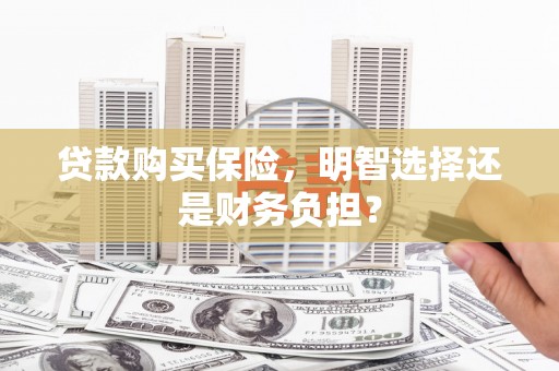 陆川贷款购买保险，明智选择还是财务负担？