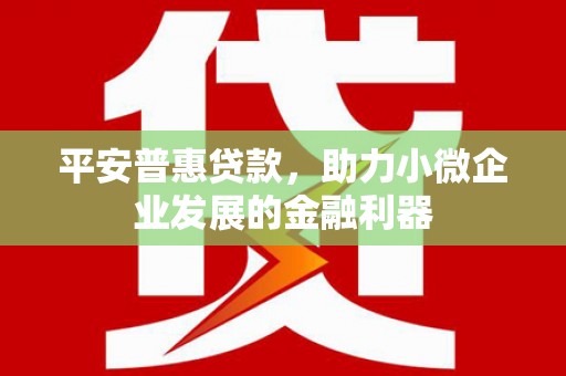 陆川平安普惠贷款，助力小微企业发展的金融利器