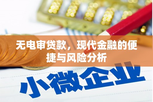 陆川无电审贷款，现代金融的便捷与风险分析