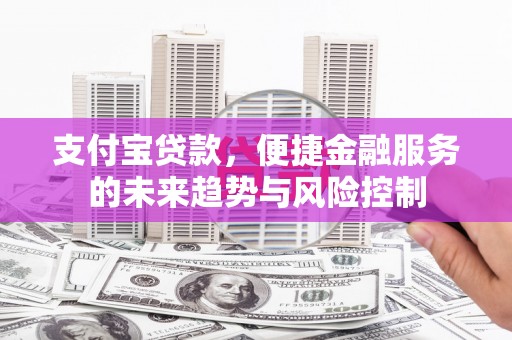 陆川支付宝贷款，便捷金融服务的未来趋势与风险控制