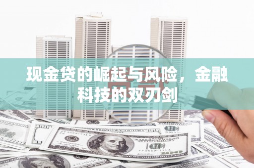 陆川现金贷的崛起与风险，金融科技的双刃剑
