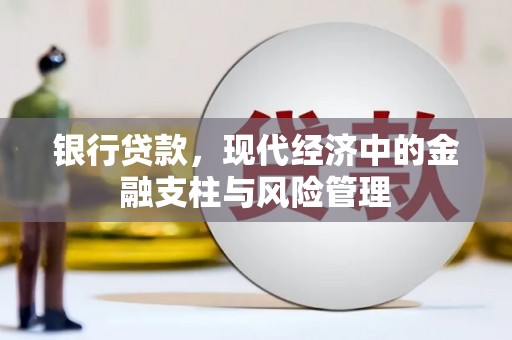 陆川银行贷款，现代经济中的金融支柱与风险管理