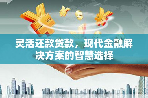 陆川灵活还款贷款，现代金融解决方案的智慧选择