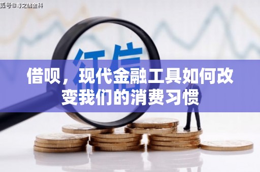 陆川借呗，现代金融工具如何改变我们的消费习惯