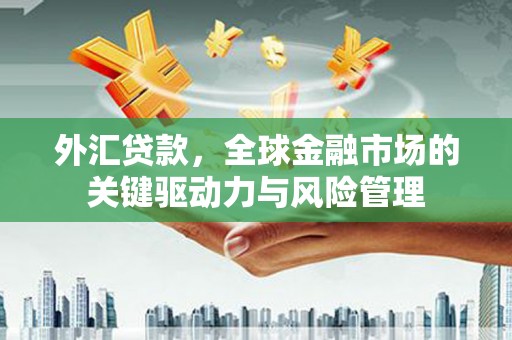 陆川外汇贷款，全球金融市场的关键驱动力与风险管理