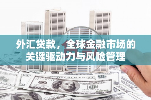 陆川外汇贷款，全球金融市场的关键驱动力与风险管理