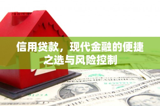 陆川信用贷款，现代金融的便捷之选与风险控制