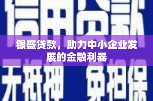 陆川银盛贷款，助力中小企业发展的金融利器