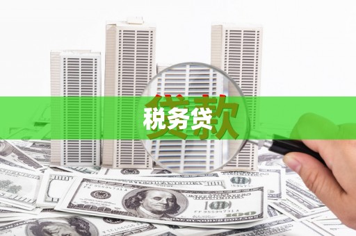 陆川税务贷