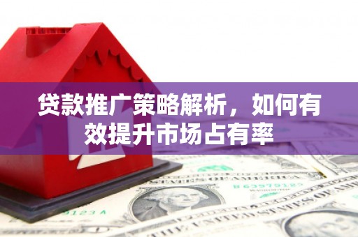 陆川贷款推广策略解析，如何有效提升市场占有率