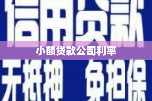 陆川小额贷款公司利率