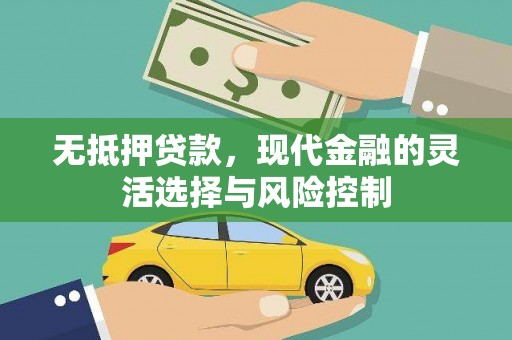 陆川无抵押贷款，现代金融的灵活选择与风险控制