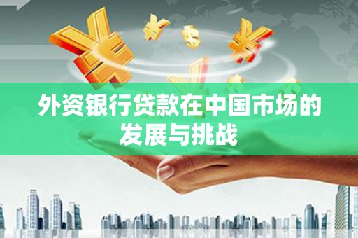 陆川外资银行贷款在中国市场的发展与挑战