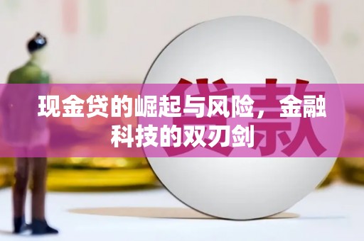 陆川现金贷的崛起与风险，金融科技的双刃剑