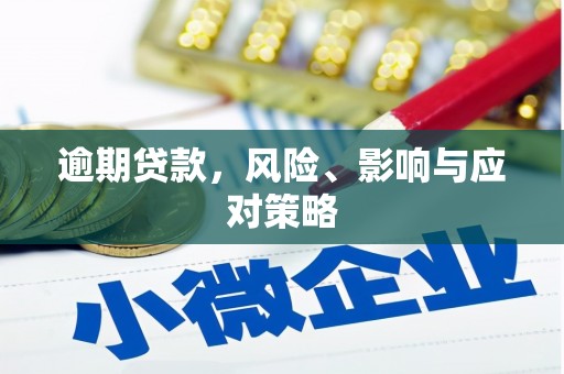 陆川逾期贷款，风险、影响与应对策略