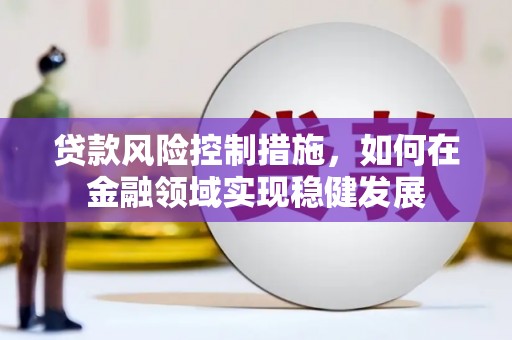 陆川贷款风险控制措施，如何在金融领域实现稳健发展