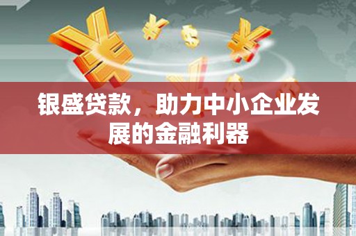 陆川银盛贷款，助力中小企业发展的金融利器