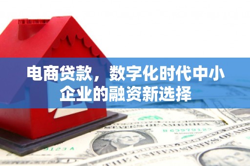陆川电商贷款，数字化时代中小企业的融资新选择