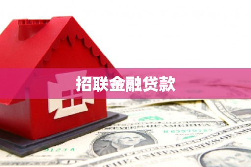 陆川招联金融贷款