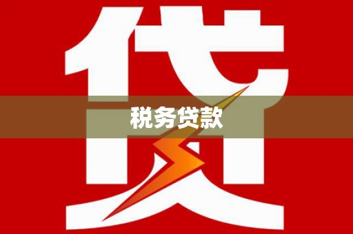 陆川税务贷款
