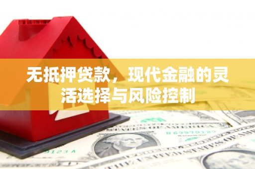 陆川无抵押贷款，现代金融的灵活选择与风险控制