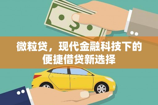 陆川微粒贷，现代金融科技下的便捷借贷新选择