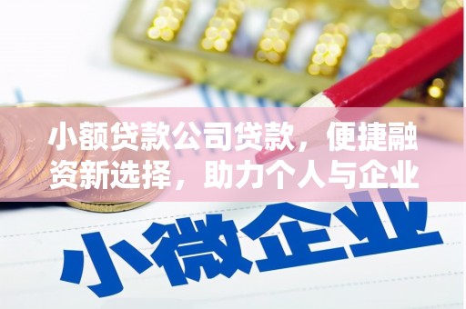 陆川小额贷款公司贷款，便捷融资新选择，助力个人与企业成长