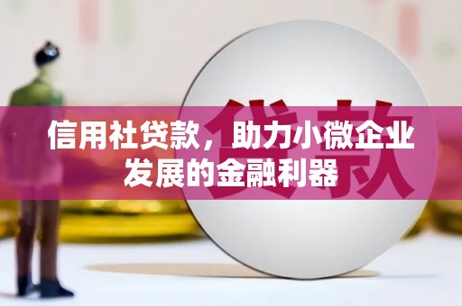 陆川信用社贷款，助力小微企业发展的金融利器