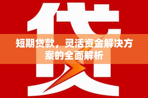 陆川短期贷款，灵活资金解决方案的全面解析
