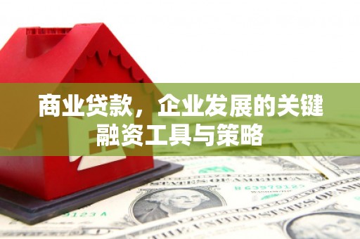 陆川商业贷款，企业发展的关键融资工具与策略