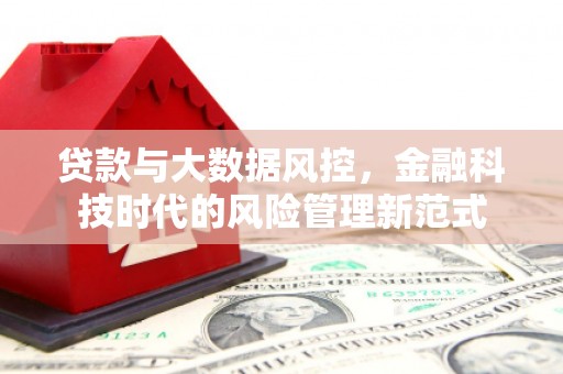 陆川贷款与大数据风控，金融科技时代的风险管理新范式