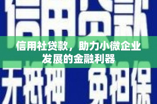陆川信用社贷款，助力小微企业发展的金融利器