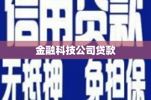 陆川金融科技公司贷款