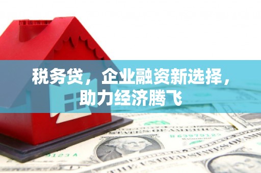 陆川税务贷，企业融资新选择，助力经济腾飞