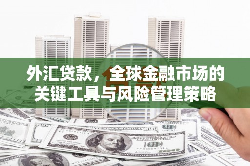 陆川外汇贷款，全球金融市场的关键工具与风险管理策略