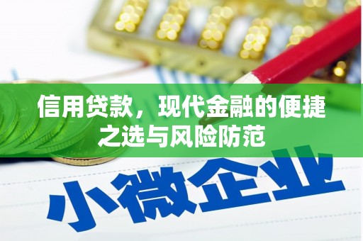 陆川信用贷款，现代金融的便捷之选与风险防范