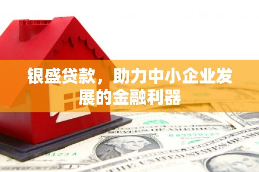 陆川银盛贷款，助力中小企业发展的金融利器