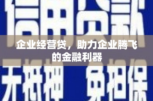 陆川企业经营贷，助力企业腾飞的金融利器