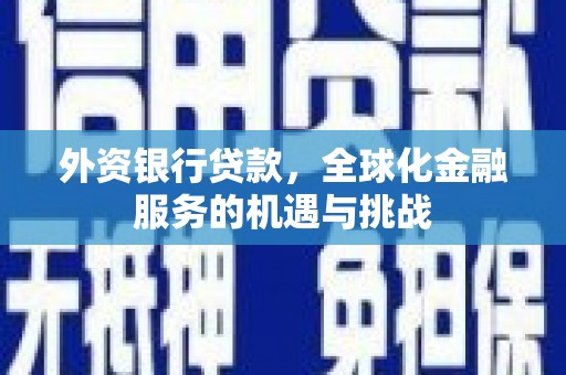 陆川外资银行贷款，全球化金融服务的机遇与挑战