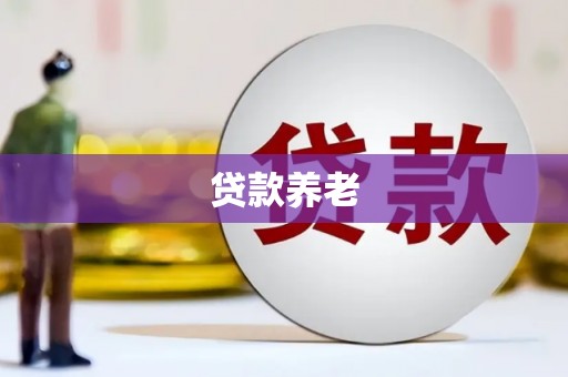 陆川贷款养老